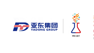 河北亚东化工集团